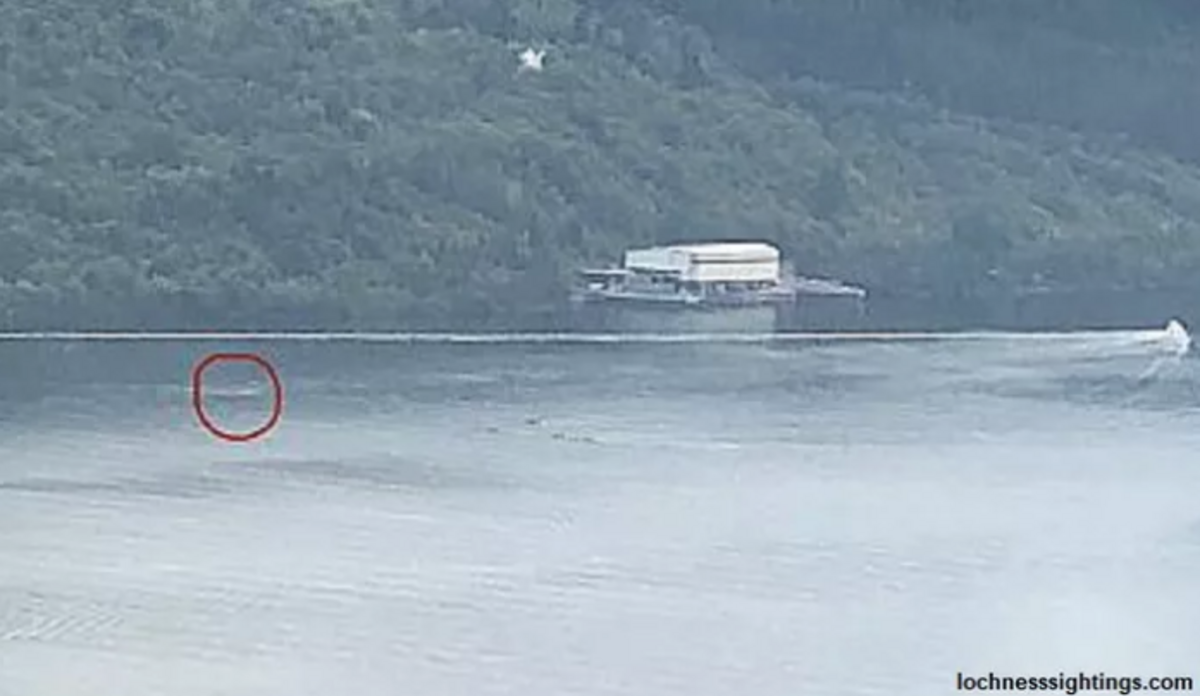 Multiple Nessie Sightings Reported Nexus Newsfeed